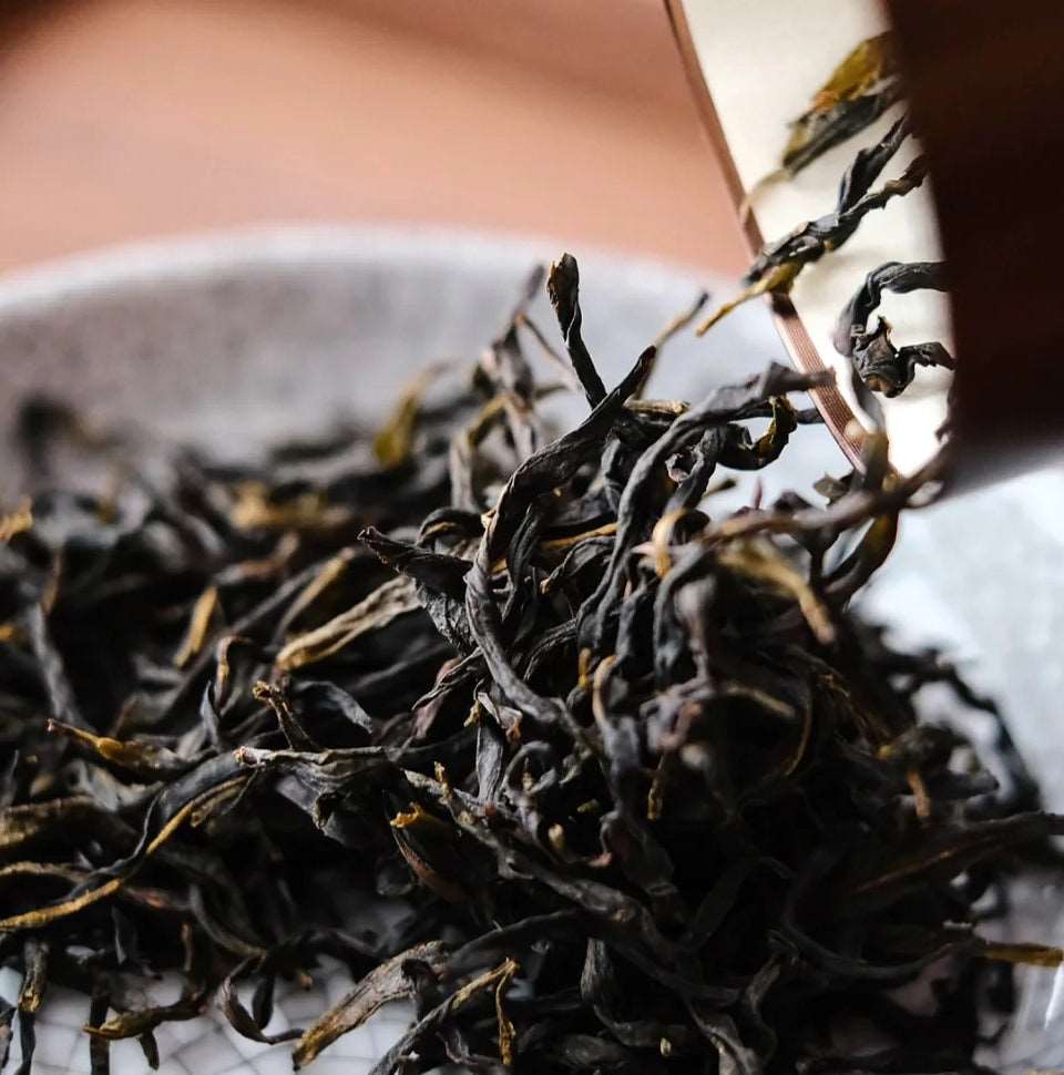 Oolong Tea>Da Hong Pao